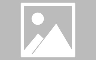 临邑巨量图标素材网站（巨量创意logo）